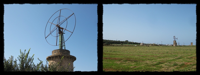 F002.jpg